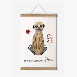 Erdmännchen
