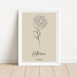 September - Aster